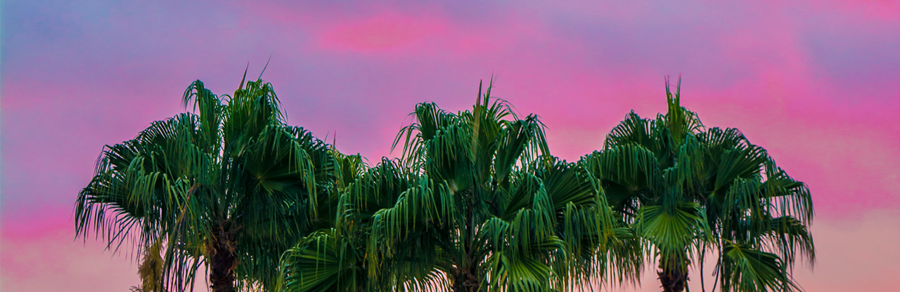 Photo by Adam Birkett on Unsplash